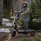 Freego D11 Landtiger Electric Scooter Foldable Dual Motor 4000W