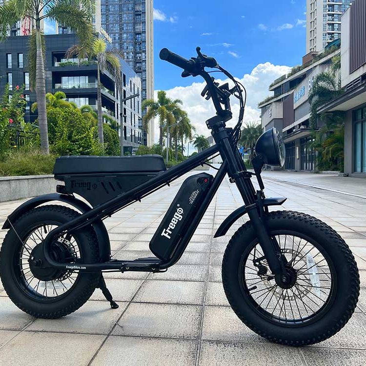 Freego Mini Electric Motorcycle for Child M1