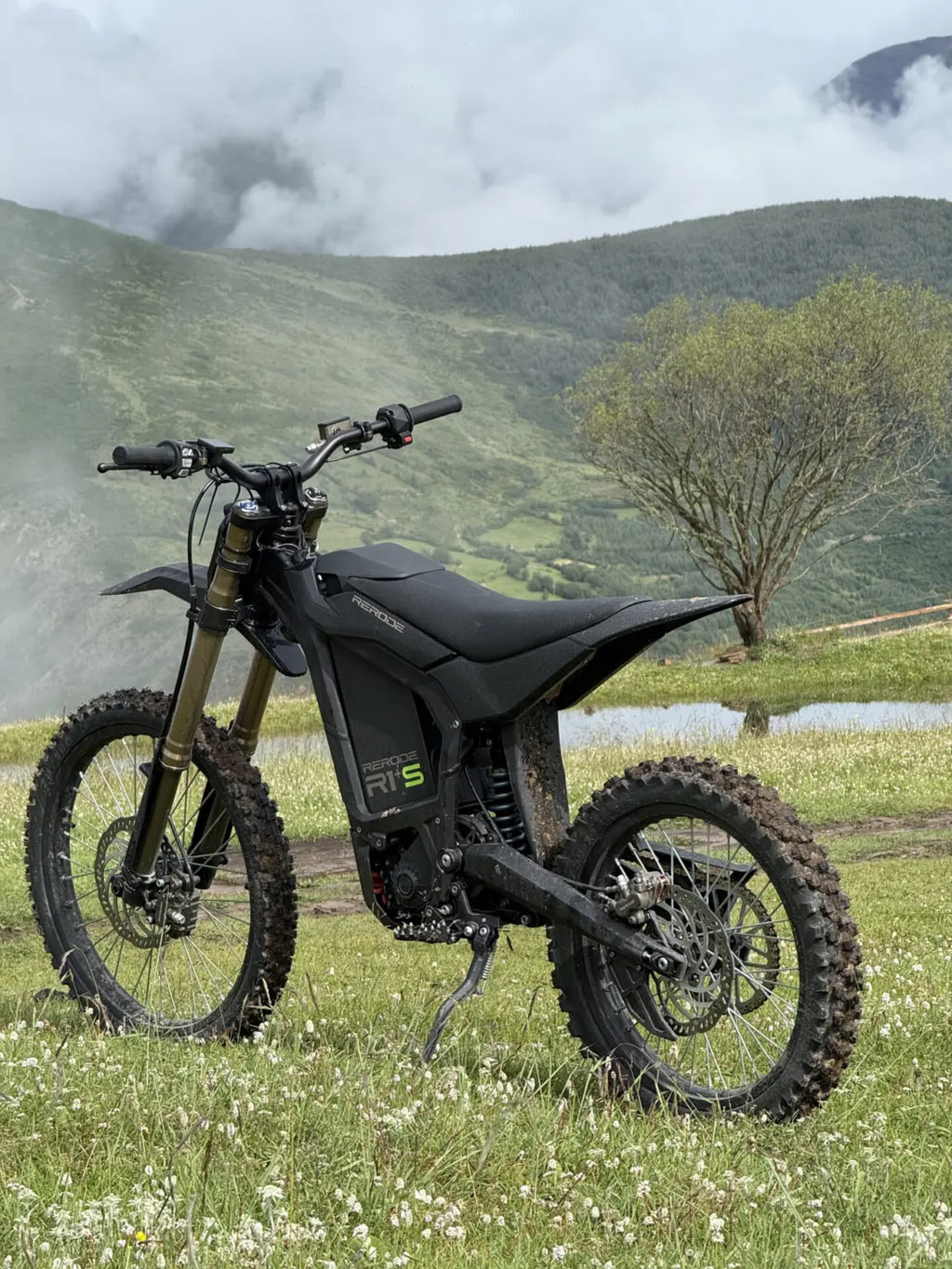 Rerode R1+S Outdoor Background