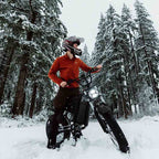 Freego S1 Cafe Racer e-Bike Outdoor