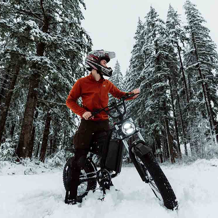 Freego S1 Cafe Racer e-Bike Outdoor