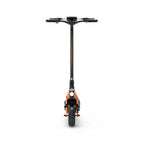 Freego C10 Pro Landtiger Dual-Motor Foldable Electric Scooter Back View
