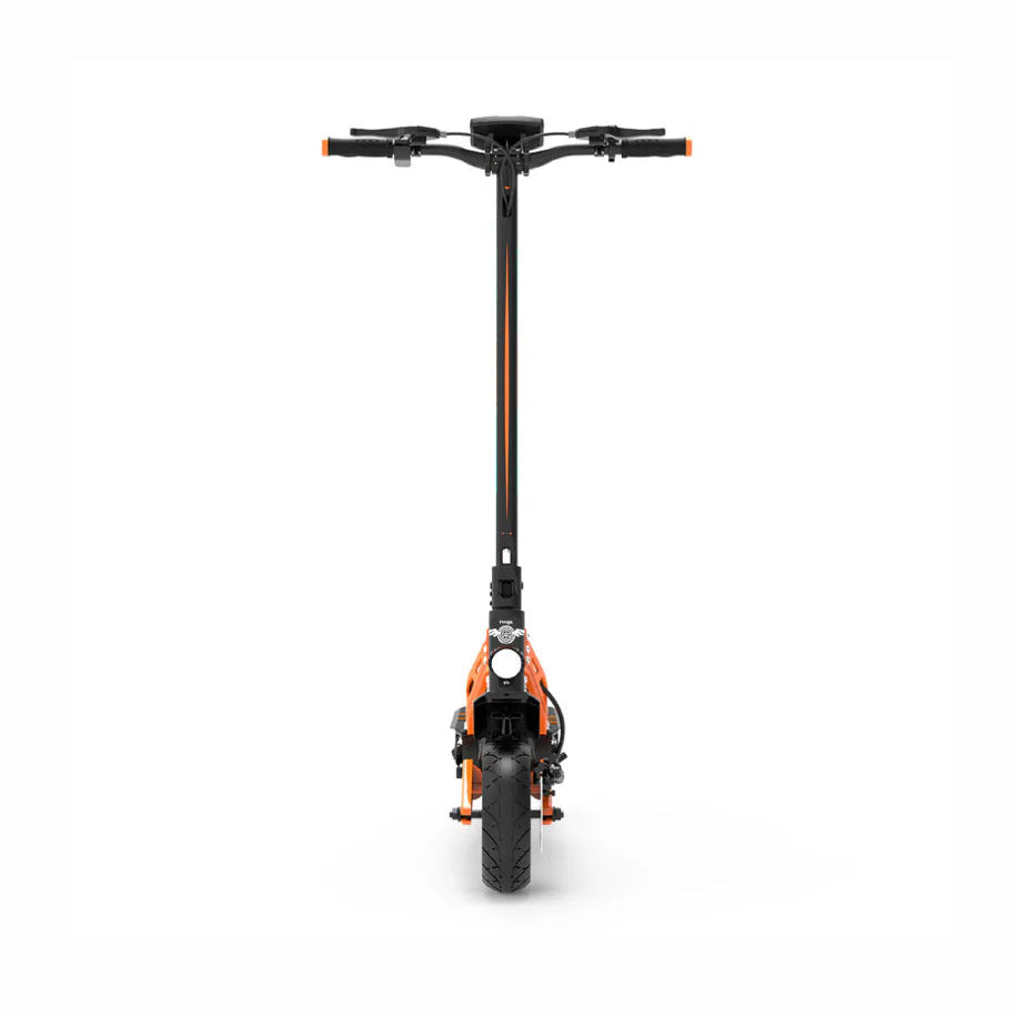 Freego C10 Pro Landtiger Dual-Motor Foldable Electric Scooter Back View