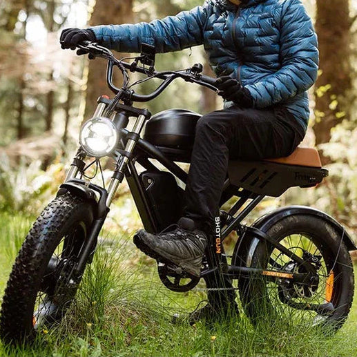Freego Flash F3 Pro Max Dual Motor and Battery eBike