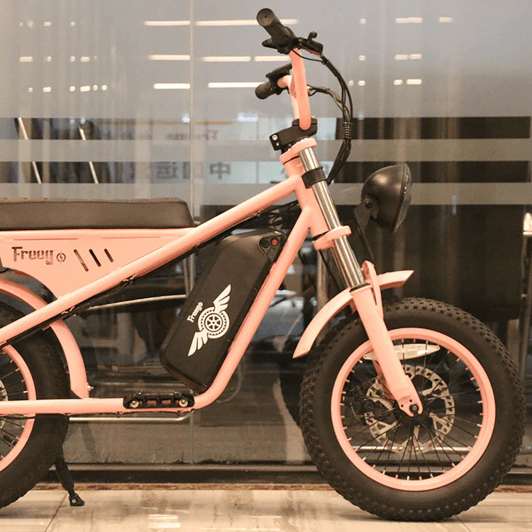 Freego Mini Electric Motorcycle for Child M1