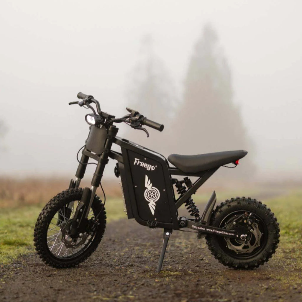 Freego X0 Electric Mini Bike for Teens and Adults