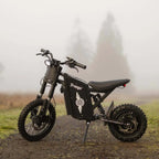Freego X0 Electric Mini Bike for Teens and Adults