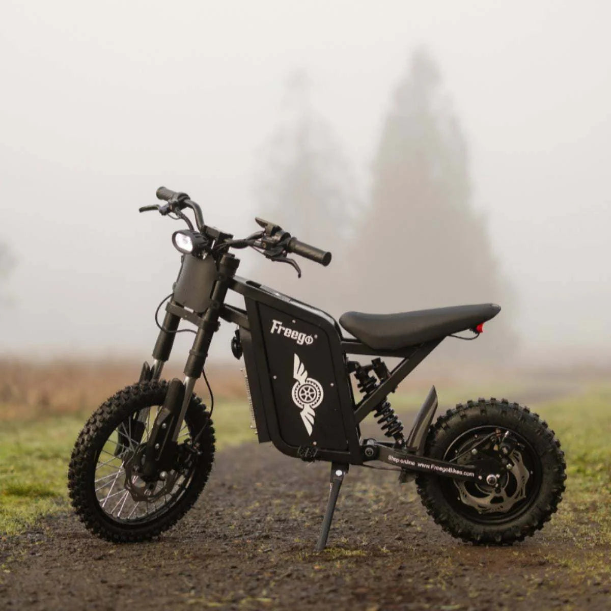 Freego X0 Electric Mini Bike for Teens and Adults